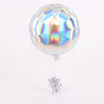 Load image into Gallery viewer, (Iridescent Silver)

