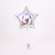 (Iridescent Silver)