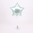 Load image into Gallery viewer, (Mint Green)
